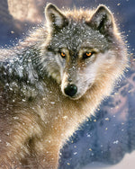 Wolf im Schnee Diamond Painting