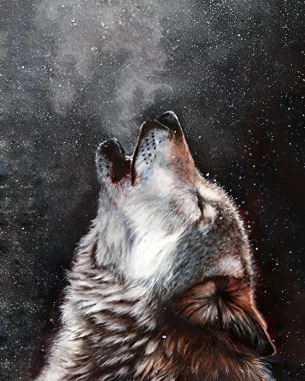 Wolf mit erhobenem Kopf Diamond Painting