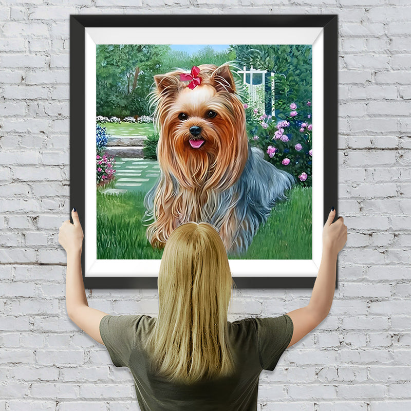 Yorkshire Terrier auf dem Gras Diamond Painting