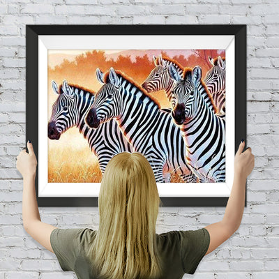 Zebras auf der Wiese Diamond Painting