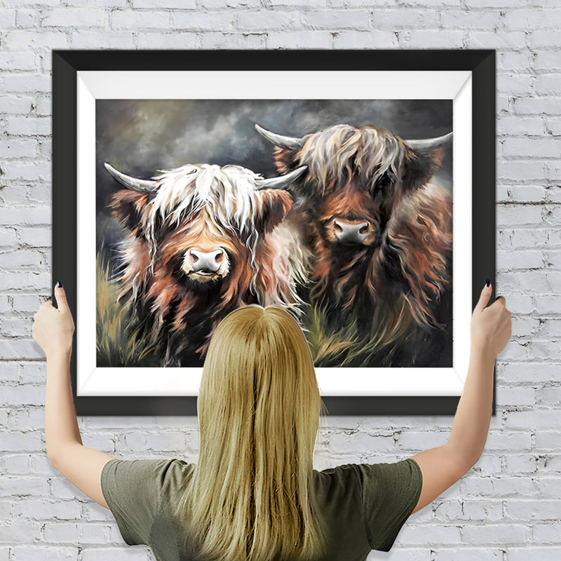 Zwei Hochlandkühe Diamond Painting