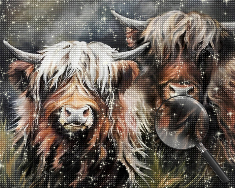 Zwei Hochlandkühe Diamond Painting