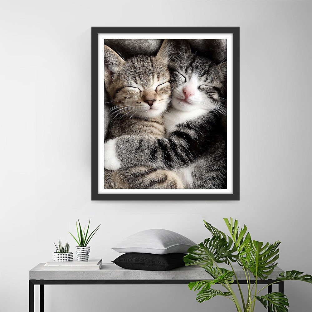 Zwei Katzen, die in den Armen des anderen schlafen Diamond Painting