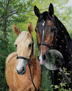 Zwei Pferde im Wald Diamond Painting