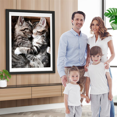 Zwei schlafende Katzen Diamond Painting