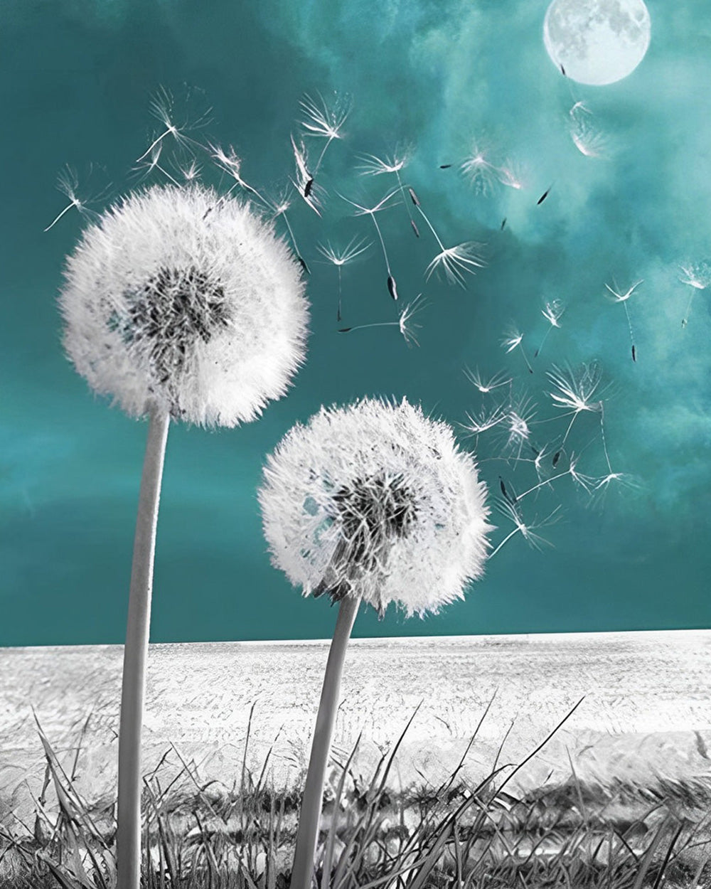 Zwei verstreute Löwenzähne Diamond Painting