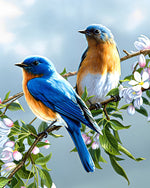 Zwei Vögel auf einem Blumenzweig Diamond Painting