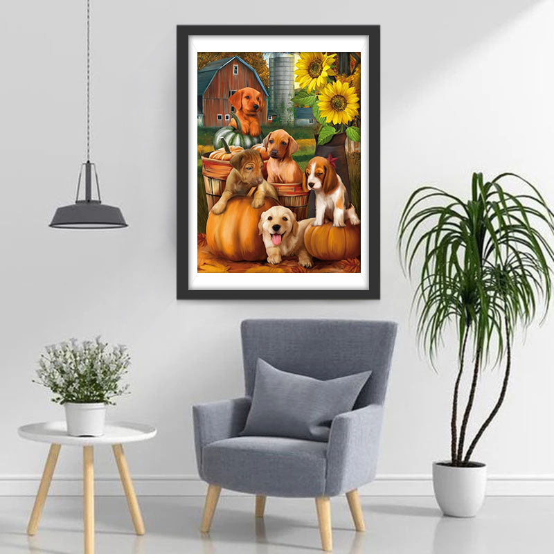 Hunde, Kürbisse und Sonnenblumen Diamond Painting