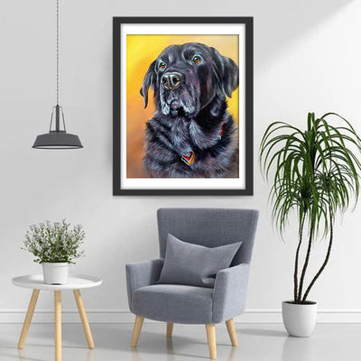 Schwarzer Labrador Diamond Painting