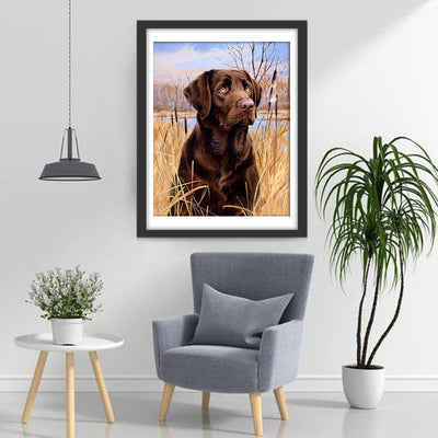 Labrador im Gras Diamond Painting