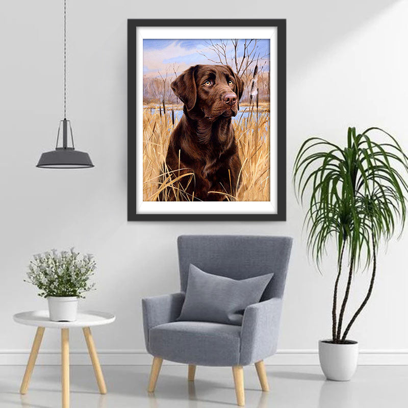 Labrador im Gras Diamond Painting