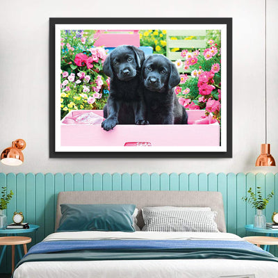 Schwarze Hunde in rosa Box Diamond Painting