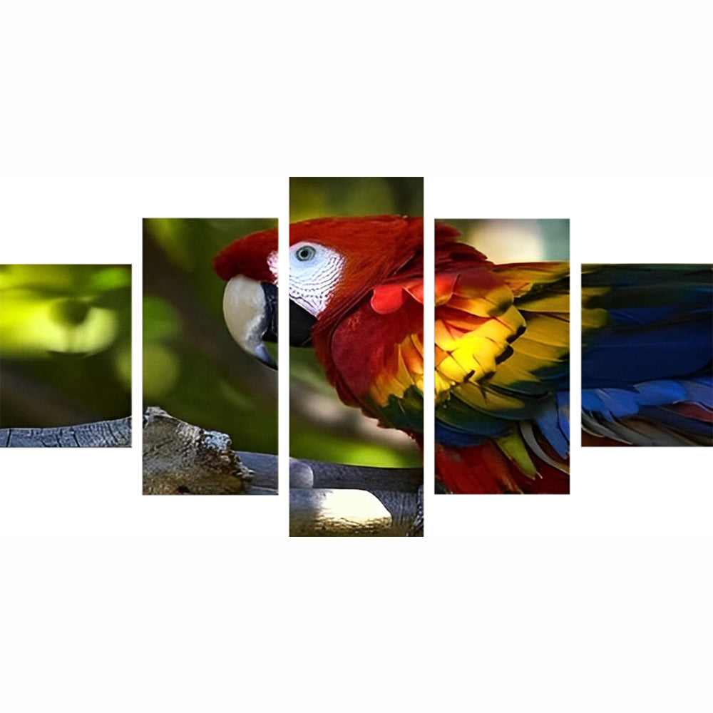 5 Teilig Papagei Diamond Painting