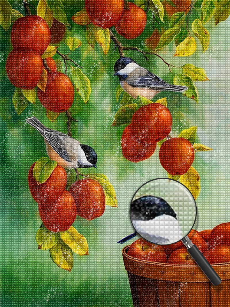 Vögel und Äpfel Diamond Painting