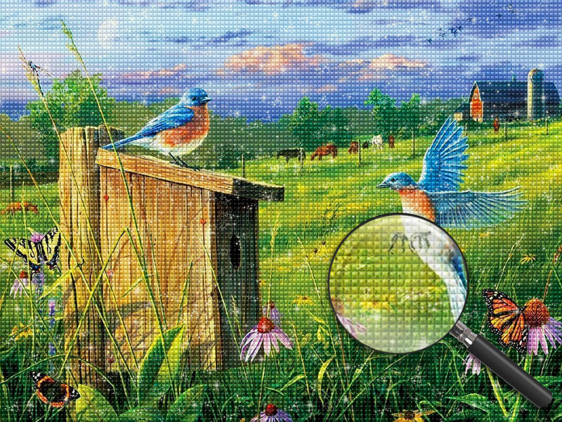 Blaue Vögel auf dem Feld Diamond Painting