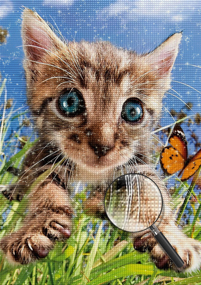 Katze Schmetterling Diamond Painting