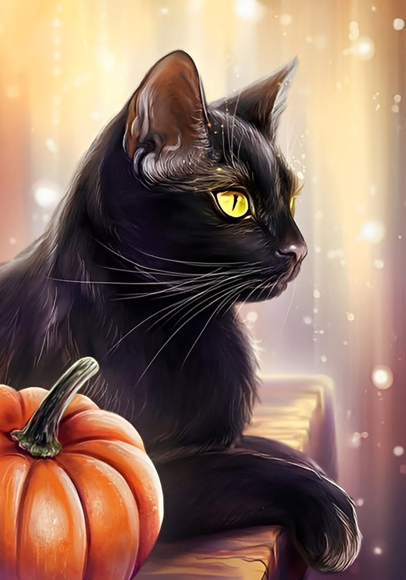 Schwarze Katze und Kürbis Diamond Painting