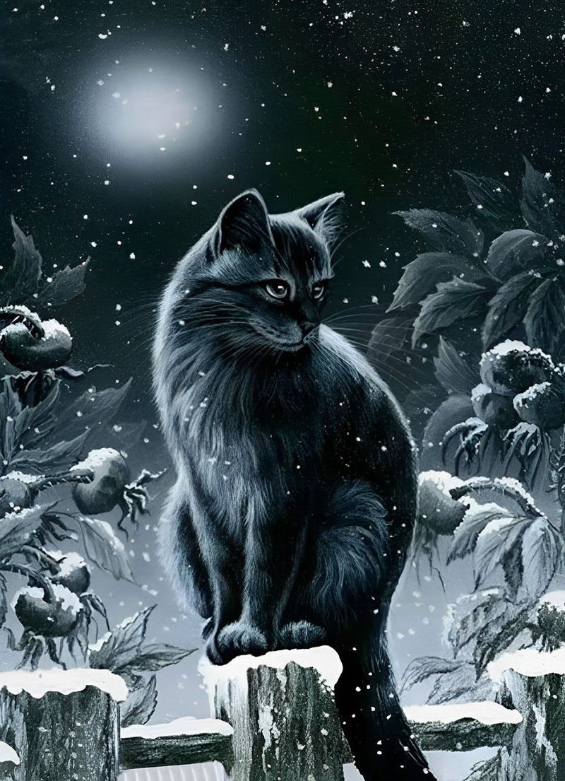 Schwarze Katze in der Schneenacht Diamond Painting