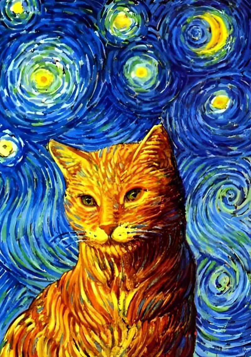 Orange Katze unter Sternenhimmel Diamond Painting