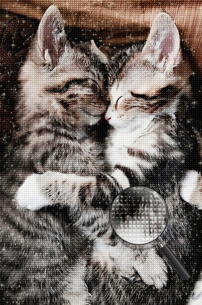 Zwei schlafende Katzen Diamond Painting