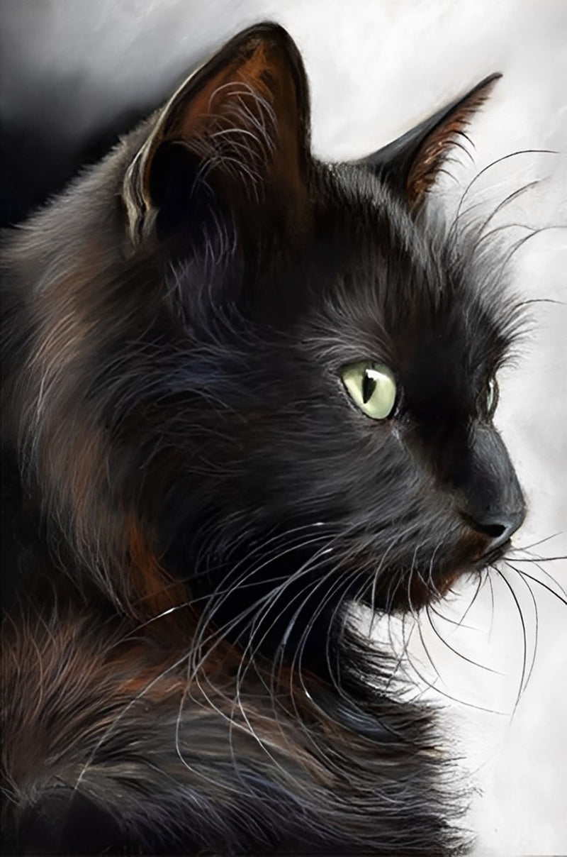 Schwarze Katze Diamond Painting