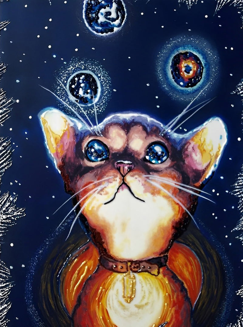 Katze unter Sternenhimmel Diamond Painting