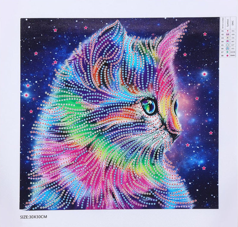 Bunte Katze und Sternenhimmel, Speziell geformte Diamanten Diamond Painting