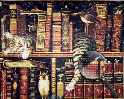 Katze auf einem Bücherregal Diamond Painting