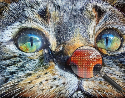 Katze Diamond Painting