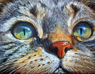 Katze Diamond Painting