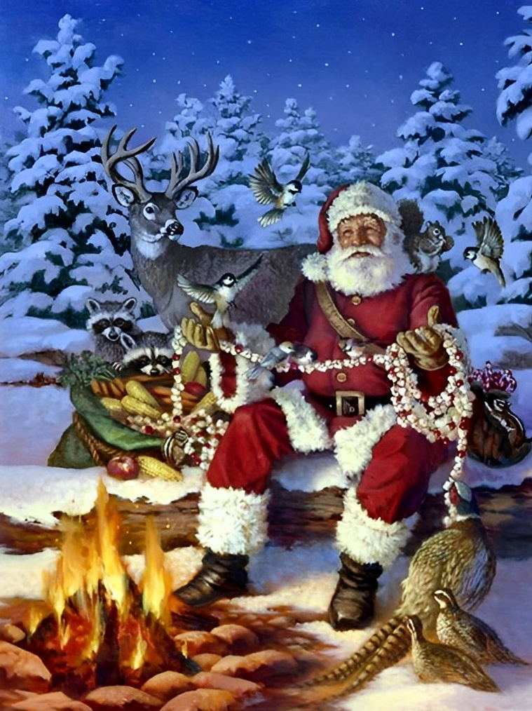 Weihnachtsmann Tiere Diamond Painting