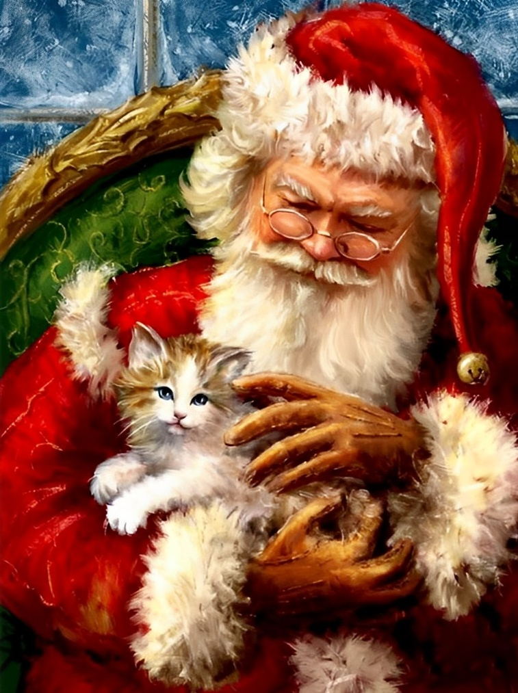 Weihnachtsmann mit einer Katze Diamond Painting