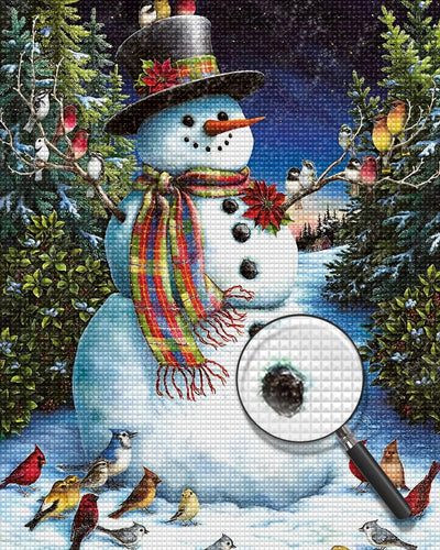 Schneemann und Vögel unter dem Sternenhimmel Diamond Painting