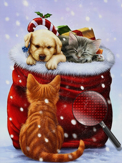 Hund und Katze im Weihnachtsgeschenk Diamond Painting