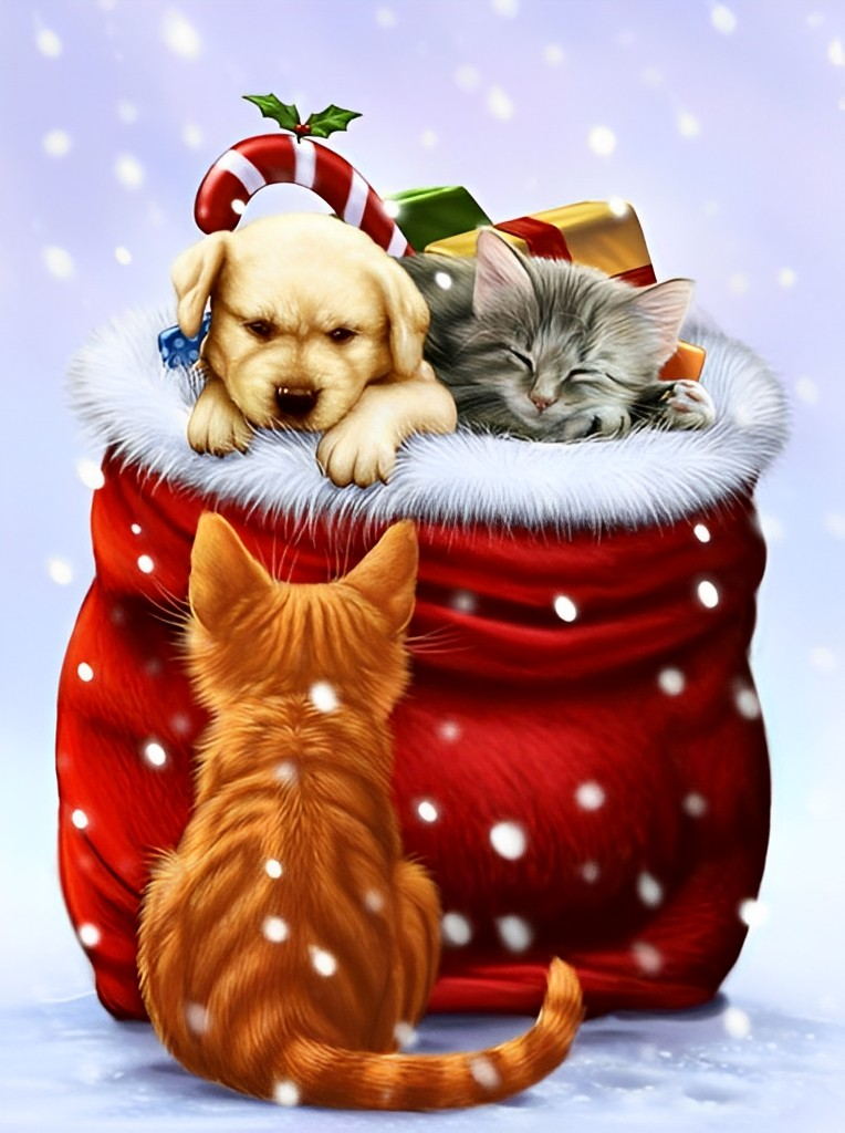 Hund und Katze im Weihnachtsgeschenk Diamond Painting