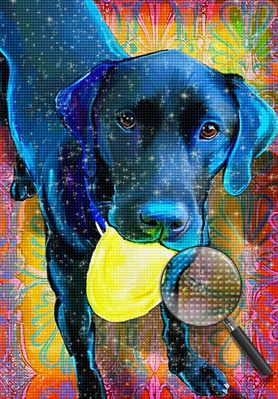 Schwarzer Hund Diamond Painting