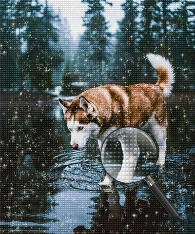 Husky im Wald Diamond Painting