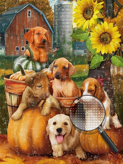 Hunde, Kürbisse und Sonnenblumen Diamond Painting