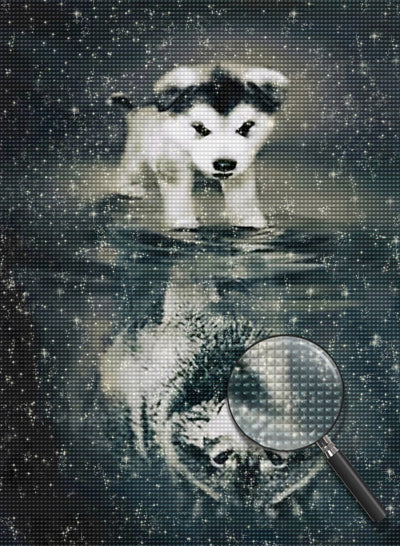 Hund und Wolf im Wasser Diamond Painting