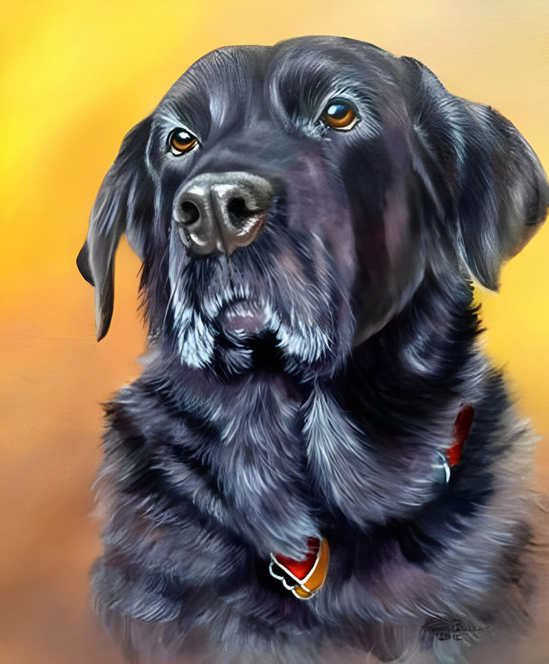 Schwarzer Labrador Diamond Painting