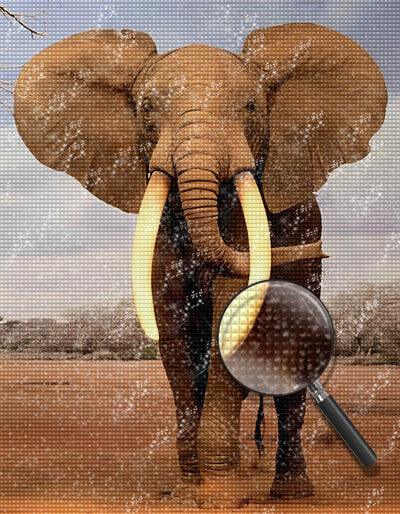 Elefant mit weißen Stoßzähnen Diamond Painting