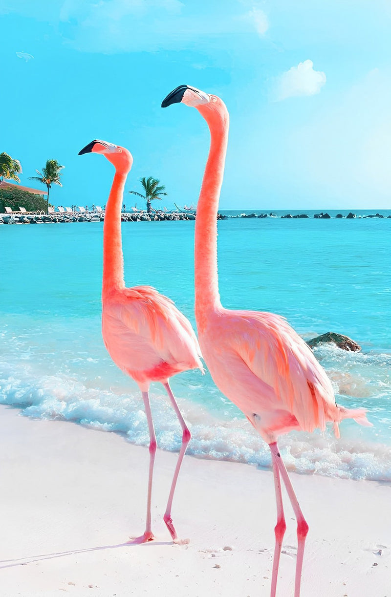 Zwei rosa Flamingos am Meer Diamond Painting