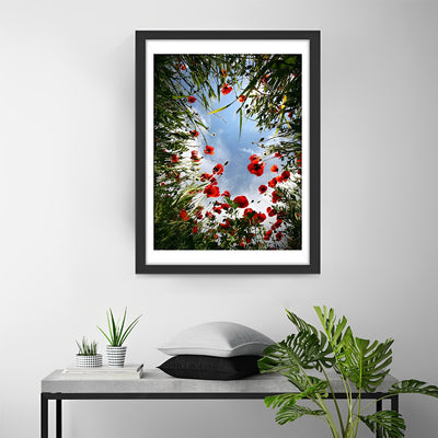 Mohnblumen und blauer Himmel Diamond Painting