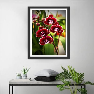 Rote Phalaenopsis Diamond Painting