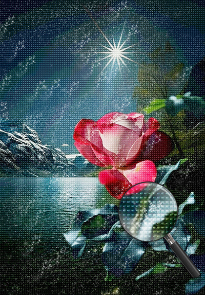 Rote Rose am Strand in der Nacht Diamond Painting