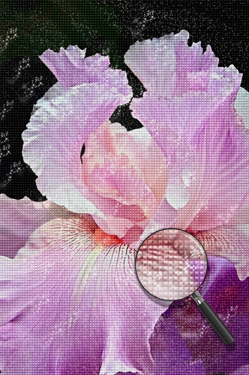 Rosa Iris Diamond Painting