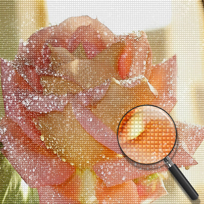 Rosa Rose mit Tautropfen Diamond Painting