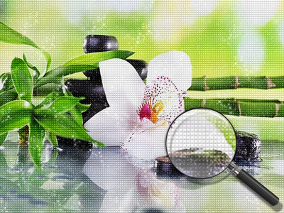 Weiße Orchidee und Bambus Diamond Painting