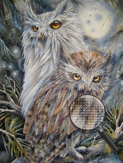 Graue und weiße Eule Diamond Painting