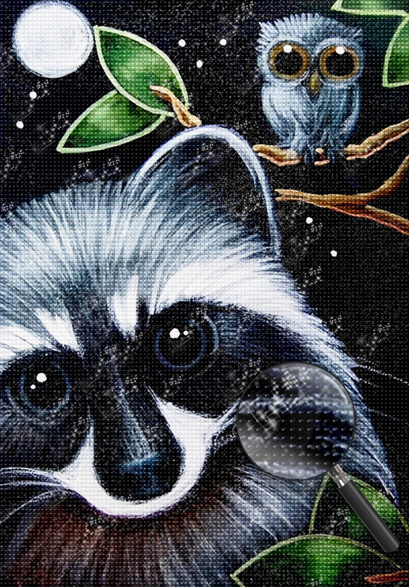 Waschbär und Eule Diamond Painting